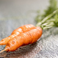 Φωτογραφία του Carrots 4