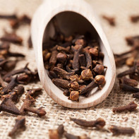 Photo of clove (herb) 2