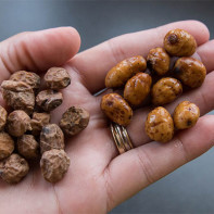 Photo of Chufa Nut 3