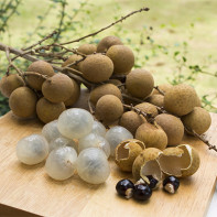 Foto Longan fruct 3