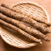 Burdock root photo