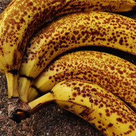 Banana foto 5