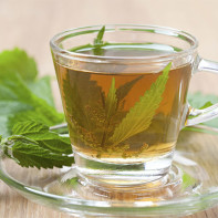 Nettle Tea - photo.