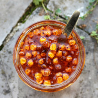 Picture of sea buckthorn jam