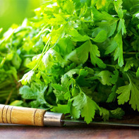 Photo of parsley 4