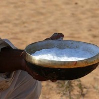 Camel milk photo