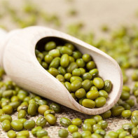 Photo of mung beans 6