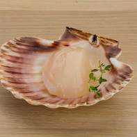 Photo of scallops 4