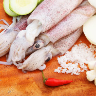 Squid photo 3