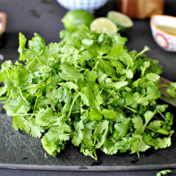 Photo of coriander 2