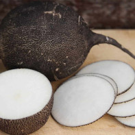 Photo of black radish