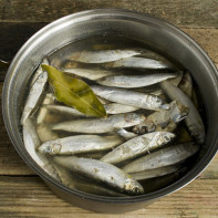 Photo of sprat