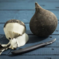 Photo of Black Radish 2