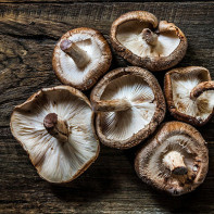 Fotografie de ciuperci shiitake 5