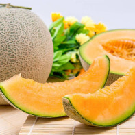 Photo of cantaloupe 4