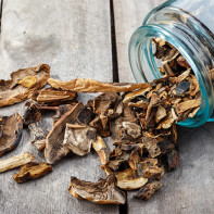 Photo of dried mushrooms 2