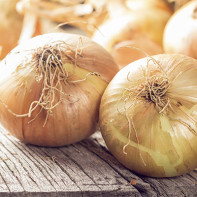 Photo onions 4