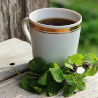 Photo of peppermint tea 4