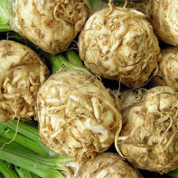 Photo of celery root