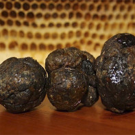 Photo of Propolis 2