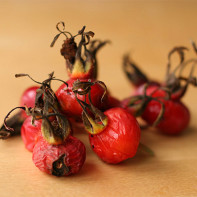 Rose hips photo 2