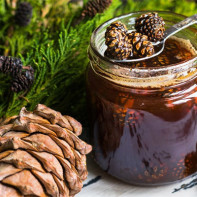 Photo of pine cones jam