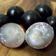 תצלום Jaboticaba 3