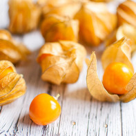 Photo Physalis 2