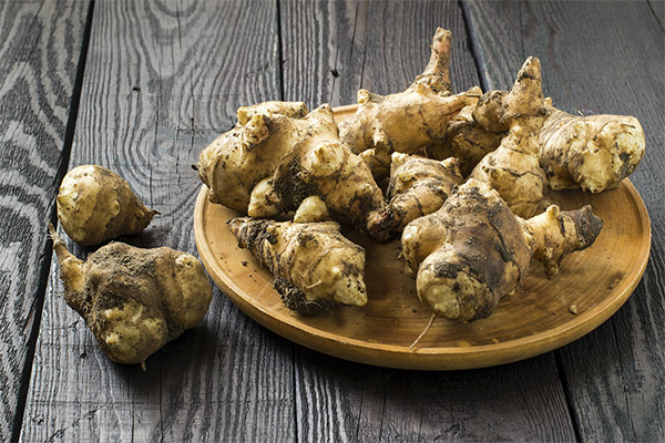 Interesting facts about Jerusalem artichoke