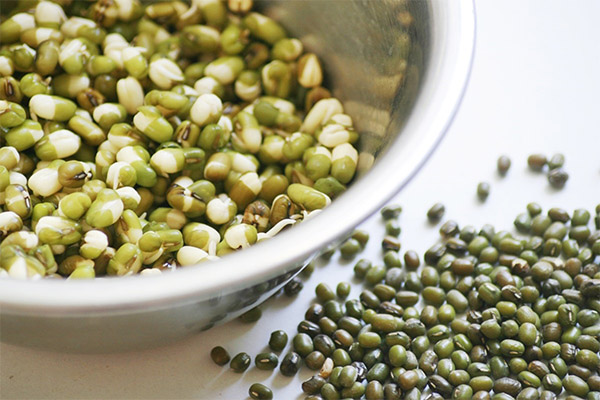 How to Sprout Mung Beans at Home