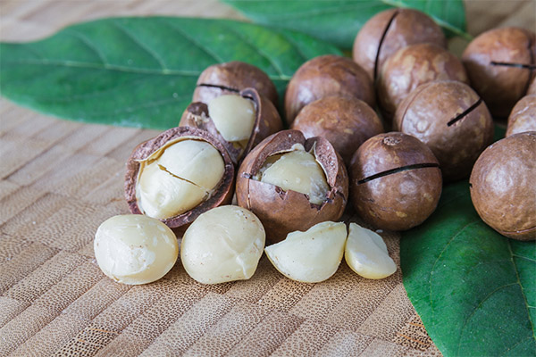 Výhody a škody makadamových orechov