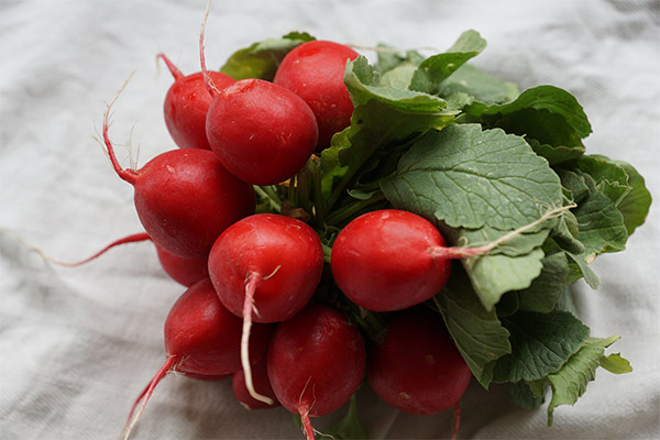 Radish in medicine