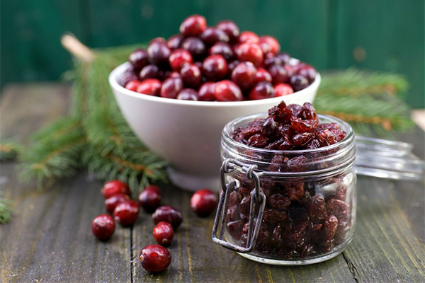 Dried cranberries in medicine