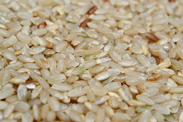 Brown rice in medicine