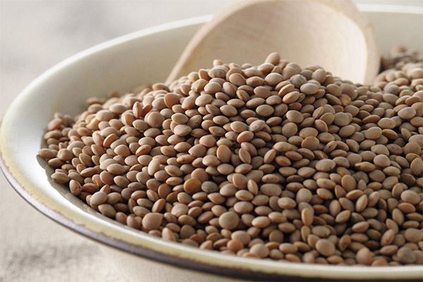 Lentils in medicine