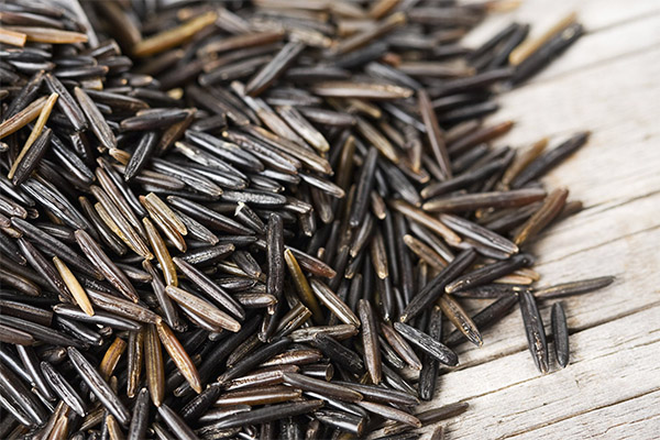 Benefits of Wild Rice