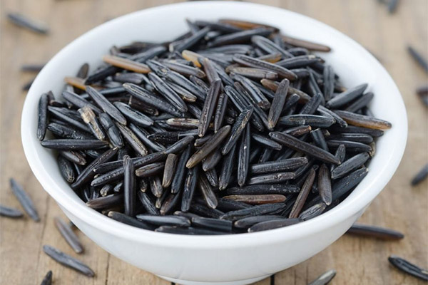 Wild Rice in Medicine