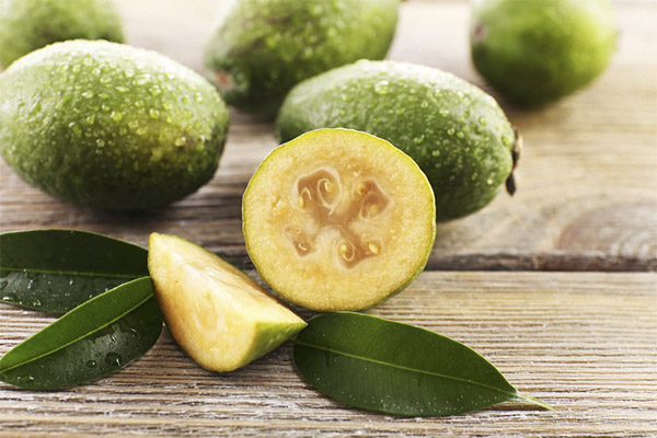 Βασικά στοιχεία για τη Feijoa