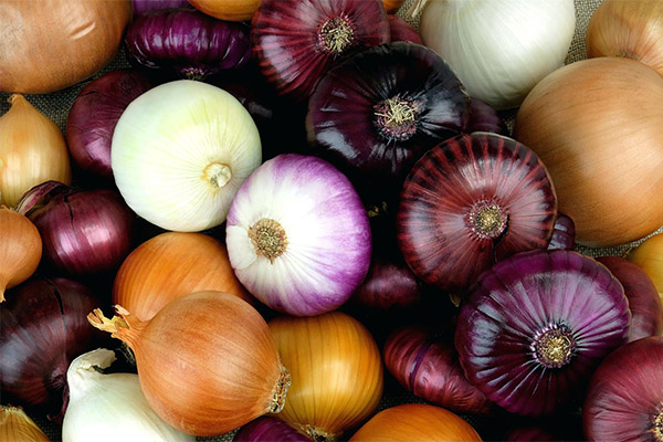 Interesting facts about onions