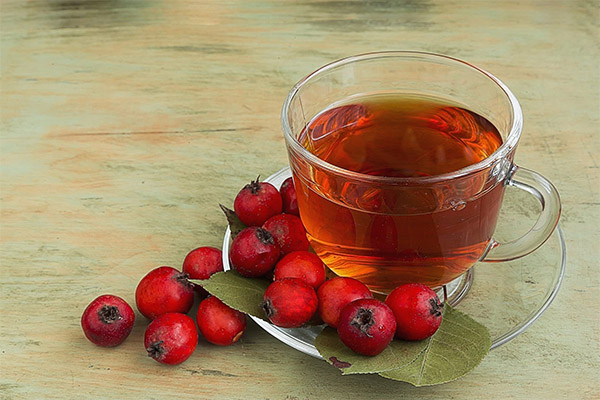 Πώς να ετοιμάσετε το hawthorn