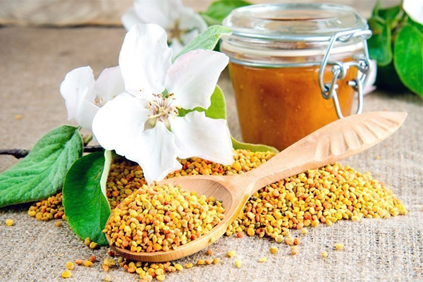 Therapeutic properties of bee pollen