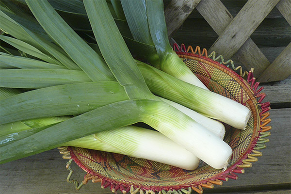 Leeks for Women