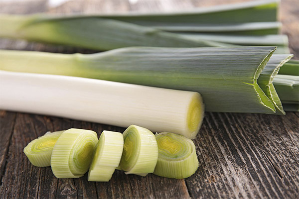 Leeks in medicine