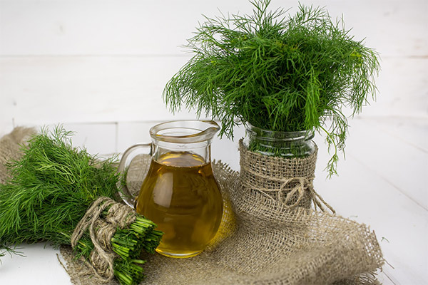 Dill oil