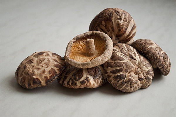 Pot să mănânc Shiitake crud