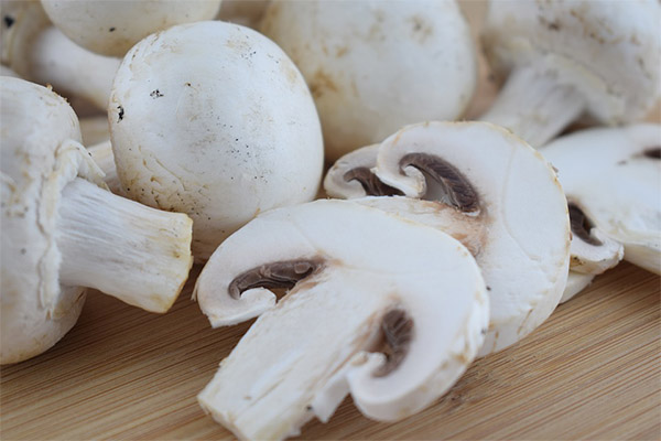 Poți fi otrăvit de champignon crud?