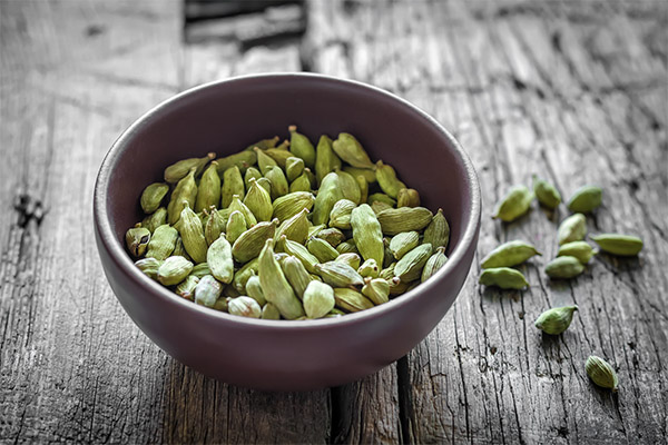 Benefits of Cardamom