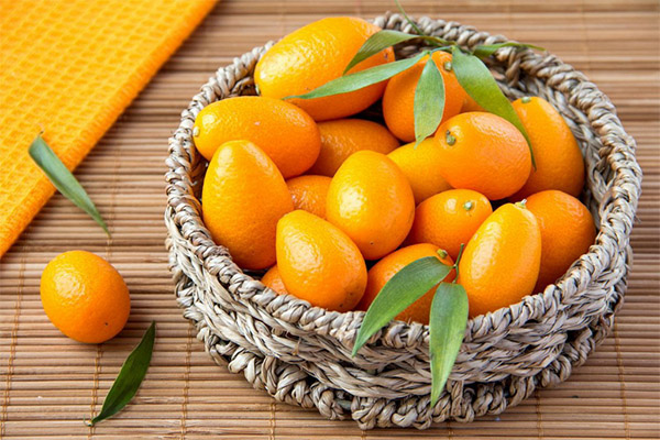 Kumquat nauda