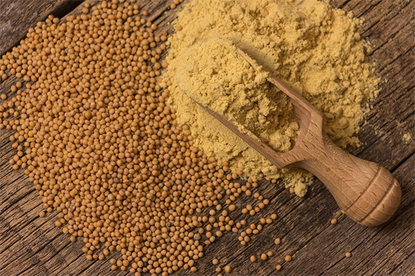 Mustard powder benefits