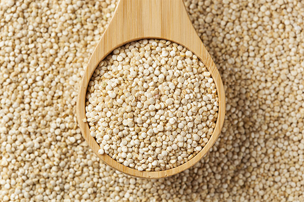 Beneficiile și daunele Quinoa